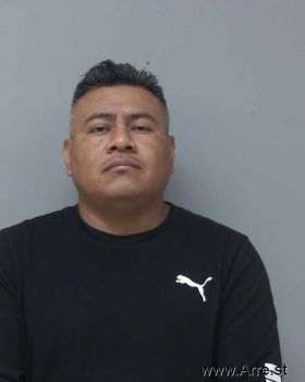 Luis Manuel Castillo Mugshot