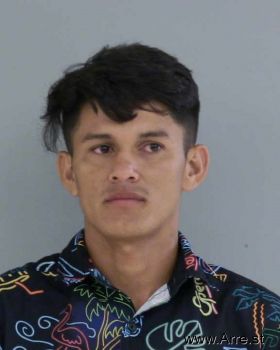 Luis Miguel Figueroa-figueroa Mugshot