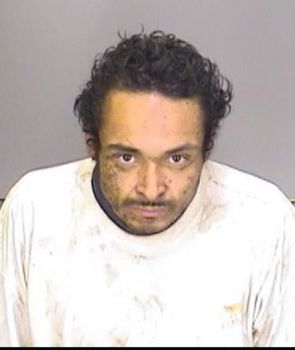 Luis Eduardo Ibarra-mendez Mugshot