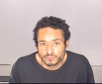 Luis Eduardo Ibarra-mendez Mugshot