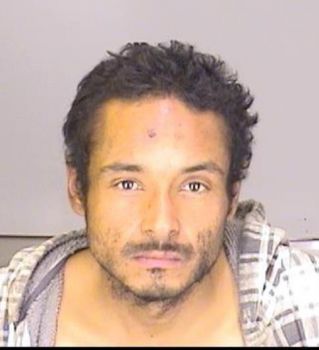 Luis Eduardo Ibarra-mendez Mugshot