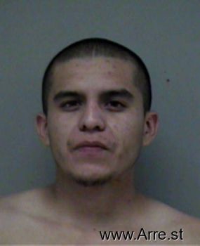 Luis Isaac Salinas Mugshot