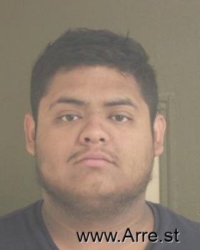 Luis A Velzaquezzamora Mugshot