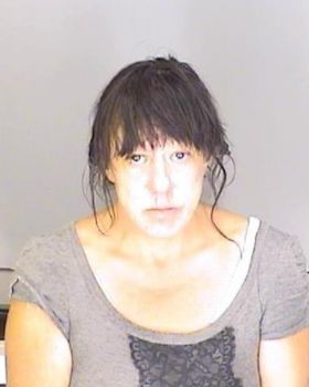 Lynette  Lizotte Mugshot