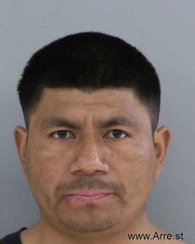 Marcos  Flores Mugshot