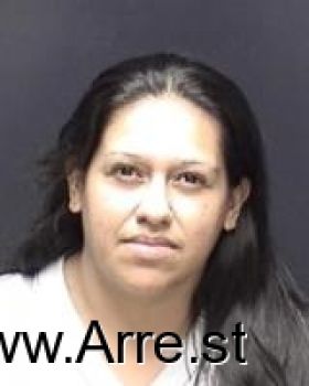 Maria Elana Gonzales Mugshot