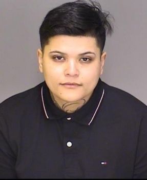 Maria Guadalupe Sanchez-sainz Mugshot