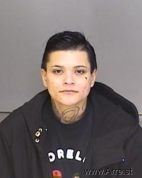 Maria Guadalupe Sanchez-sainz Mugshot