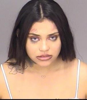 Maria Elena Torres Mugshot