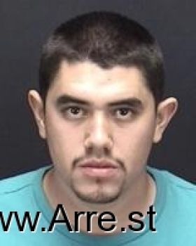 Martin  Flores Mugshot