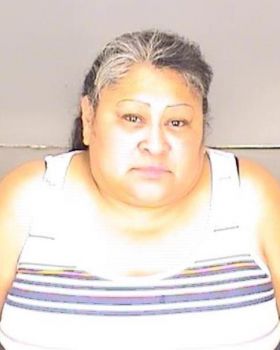 Mary Lupe Martinez Mugshot