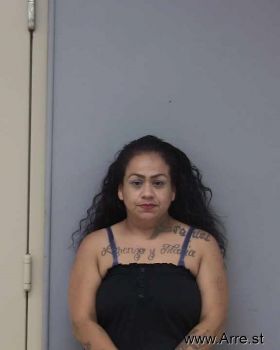 Mayra  Ramirez Mugshot