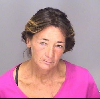 Melissa Robin Williams Mugshot