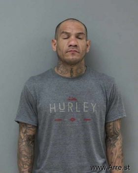 Michael  Ryan Mugshot