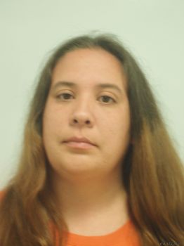 Michelle Marie Bellino Mugshot