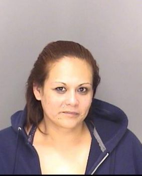 Monica  Castillo Mugshot