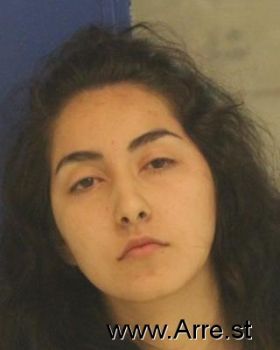 Norma Angelica Castro Fernandez Mugshot