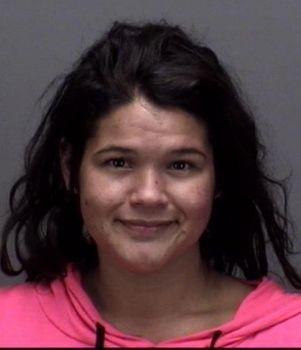 Pamela Renee Miller Mugshot