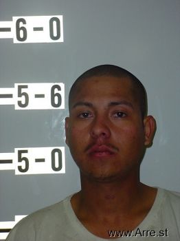 Raul Medina Martinez Mugshot