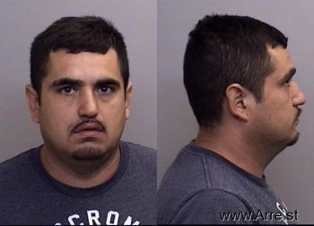 Ricardo Alvarez Gonzalez Mugshot