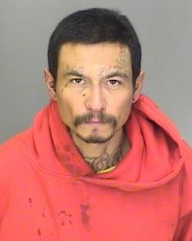 Ricky Louis Beltran Mugshot