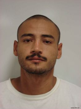 Sergio  Alvarado Mugshot