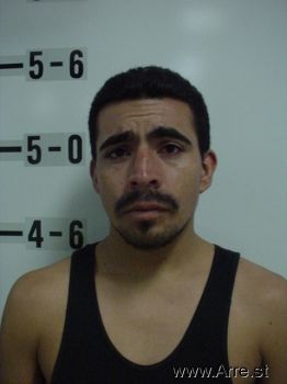 Sergio Palma Hernandez Mugshot