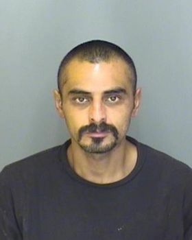 Sergio  Lozano Mugshot