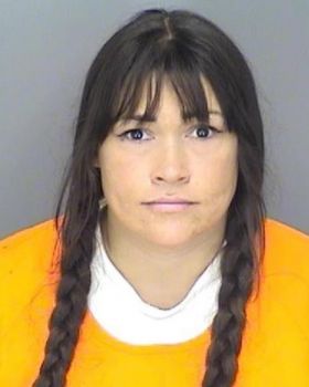 Shannon Marie Silva Mugshot