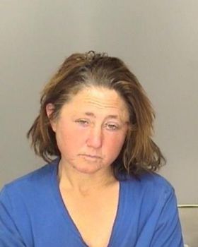 Sharon Lynn Kaminski Mugshot