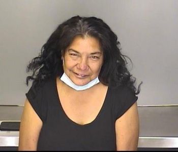 Susan Theresa Smith Mugshot