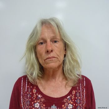 Theresa Ann Lisenbee Mugshot