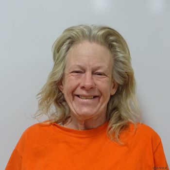 Theresa Ann Lisenbee Mugshot