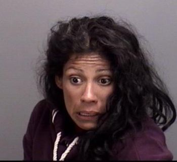 Teresa Hernandez Gomez Mugshot