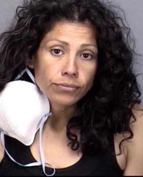 Teresa Hernandez Gomez Mugshot