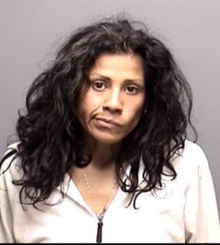 Teresa Hernandez Gomez Mugshot