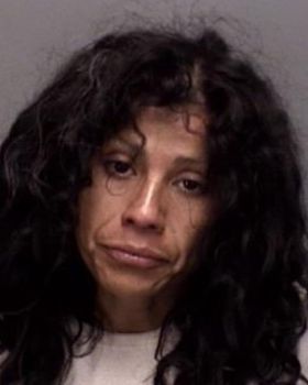 Teresa Hernandez Gomez Mugshot