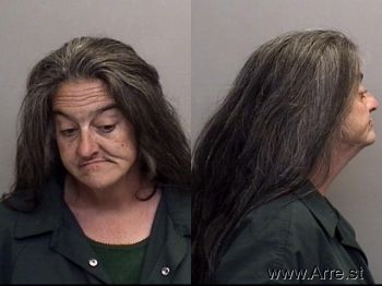 Terri Lee Mosher Mugshot