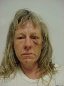 Theresa Ann Lisenbee Mugshot