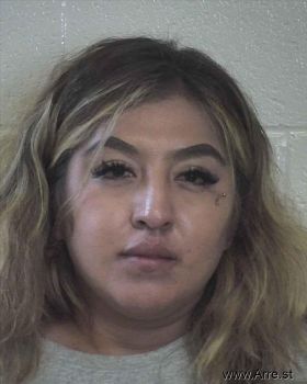 Vanessa  Aguirre Mugshot