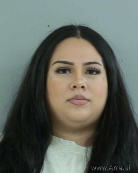 Vanessa  Perez Mugshot