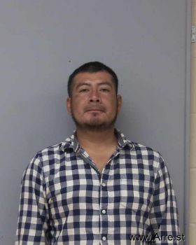 Vincente  Martinez-ramirez Mugshot