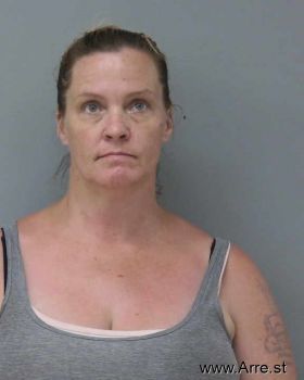 Wendy Dawn Johnson Mugshot