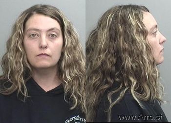 Whitney Ann Carroll Mugshot