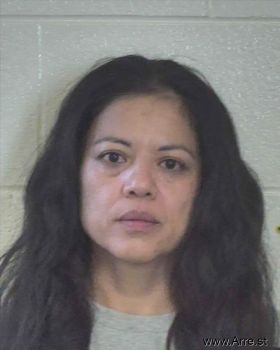 Yolanda  Villegas Mugshot