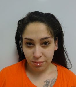 Amanda Burgos Arrest Mugshot