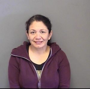 Ann Barrera Arrest Mugshot