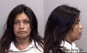 Arleen Arnoldwilliams Arrest Mugshot