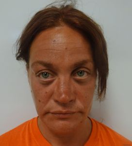 Barbara Palmer Arrest Mugshot