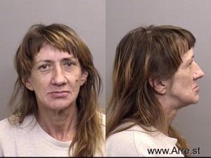 Cherie Bergquist Arrest Mugshot